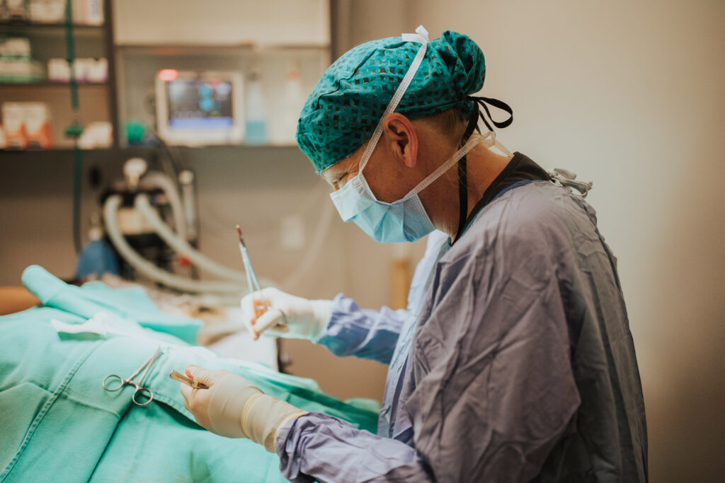 Veterinarian in surgical scrubs performing surgery.